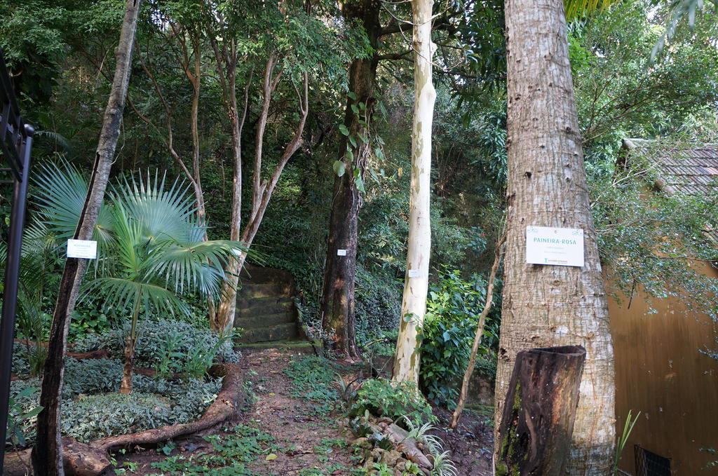 Casa Caminho Do Corcovado Nearchrist Redeemer Statue Rio de Janeiro Zewnętrze zdjęcie